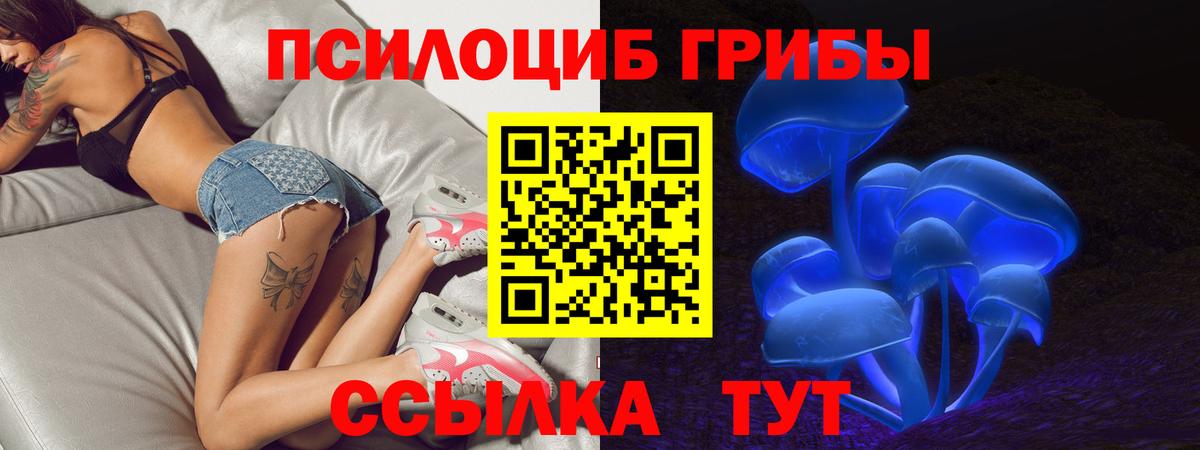 Псилоцибиновые грибы Psilocybe Десногорск